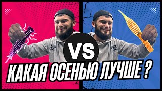 видео: Вроде ОСЕНЬ , а рыба капризная! Рыбалка на спиннинг в ОКТЯБРЕ. картинка: Вроде ОСЕНЬ , а рыба капризная! Рыбалка на спиннинг в ОКТЯБРЕ.