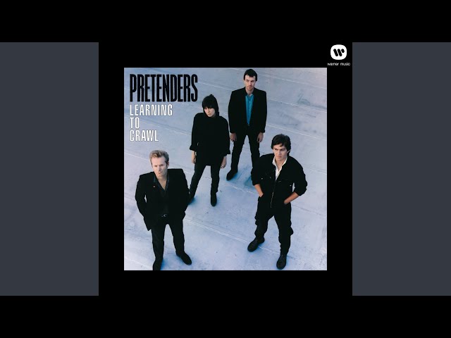 The Pretenders - My City Was Gone