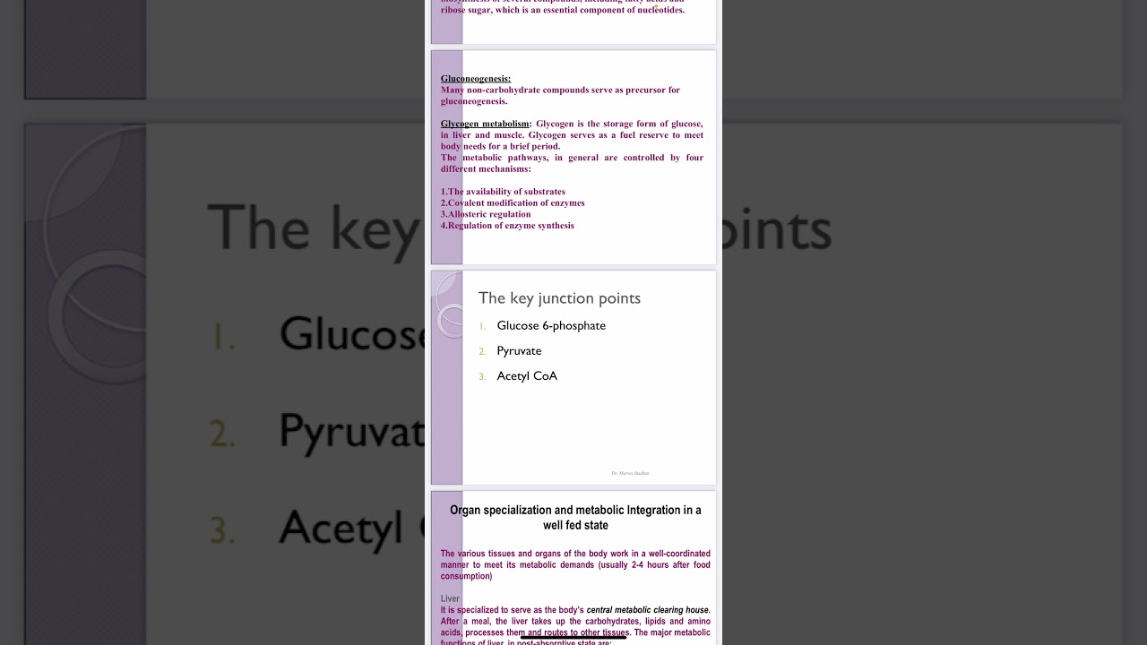 Integration of metabolism By Dr . Marwa Shabaan