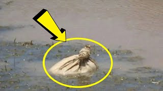 Two Rowers Saw A Bag Floating In The River And Could Not Believe Their Eyes When They Opened It ..!!