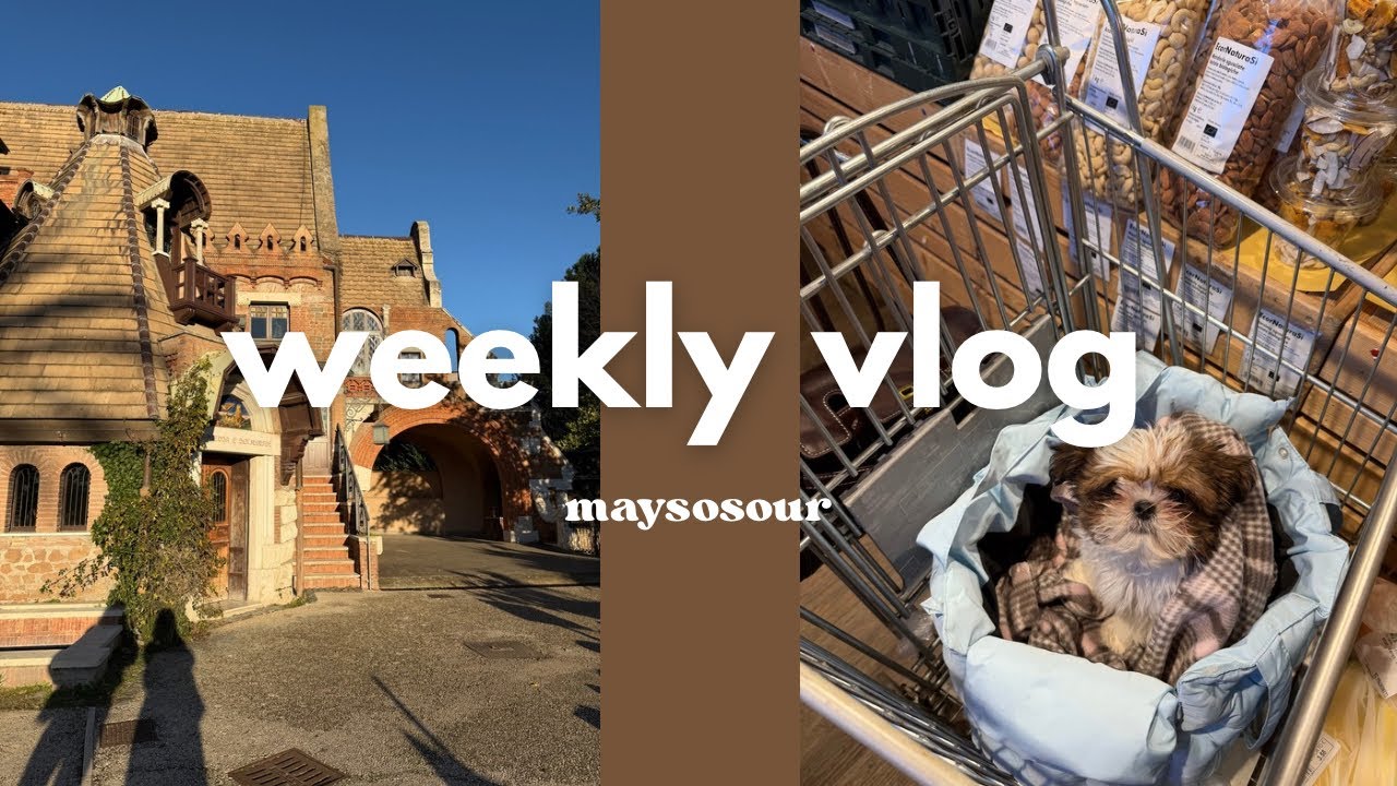 Weekly vlog | decluttering, cappotto & Roma | maysosour 