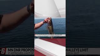 Minnesota DNR proposes lowering walleye limit