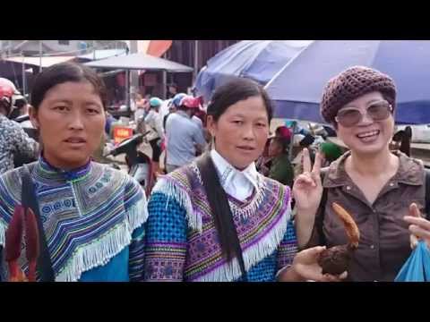 Video Bắc Du Ký sự 5: Bắc Hà - Lai Châu - Mù Căng Chải (Yên... - youtube