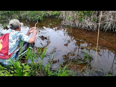 kejadian-unik-dan-langka-tukang-mancing-ikan-di-tahun-2020..