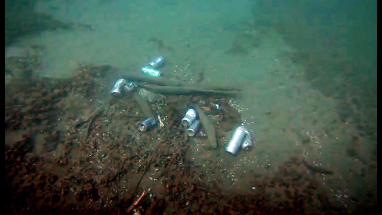 Teen diver says mounds of trash found underwater in Toronto's Humber Bay