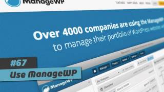 101 Ways to Elevate -- #67 Use Manage WP