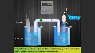 Standard Hydrogen Electrode