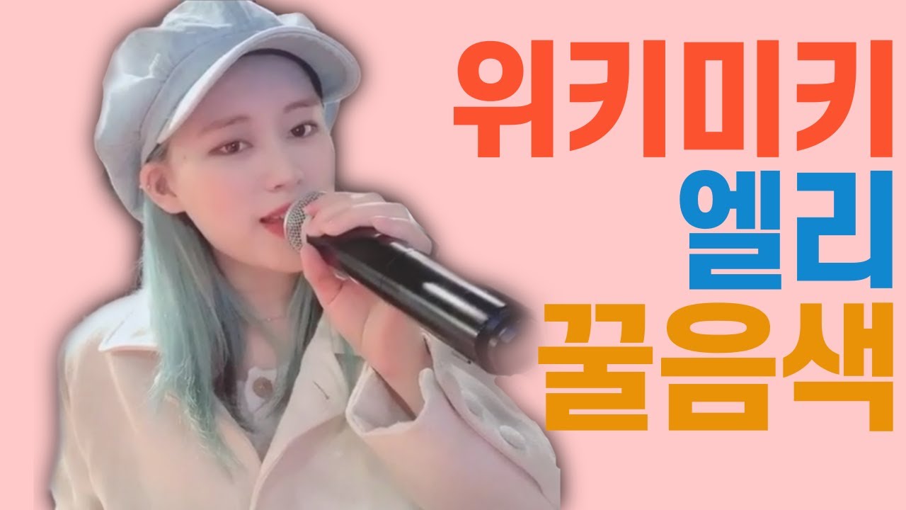 [위키미키] 엘리 음색 듣고 극락 체험 할 사람?