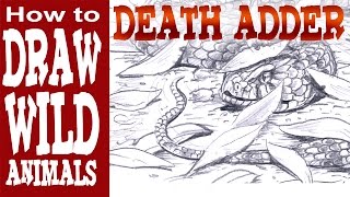 How To Draw A Snake, The Death Adder Advanced- Spoken Tutorial