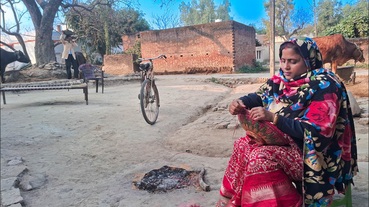 सब पूछते हैं मौनी कौन है? 🤫 | Village Life Vlog