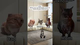 CAT MEMES🐱When you accidentally swear in front of your little bro #catmemes #funnymemes #funny