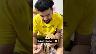 This is how I take care of my Orange Billu Chase 🧡🐈