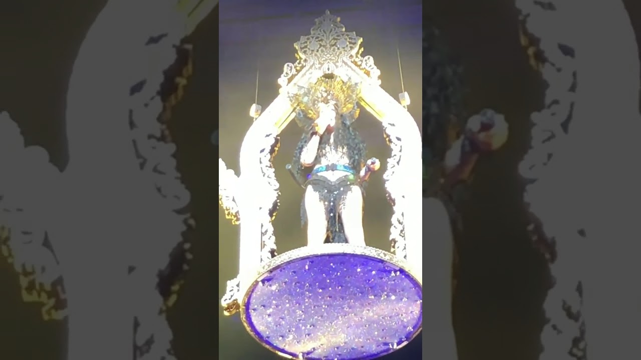 Woman's World (Live at post Halloween concert in Dublin) 