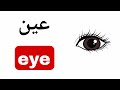 نطق كلمة عين Eye باللغة الانجليزية 