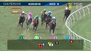 Gulfstream Park Race 5 | September 25, 2016