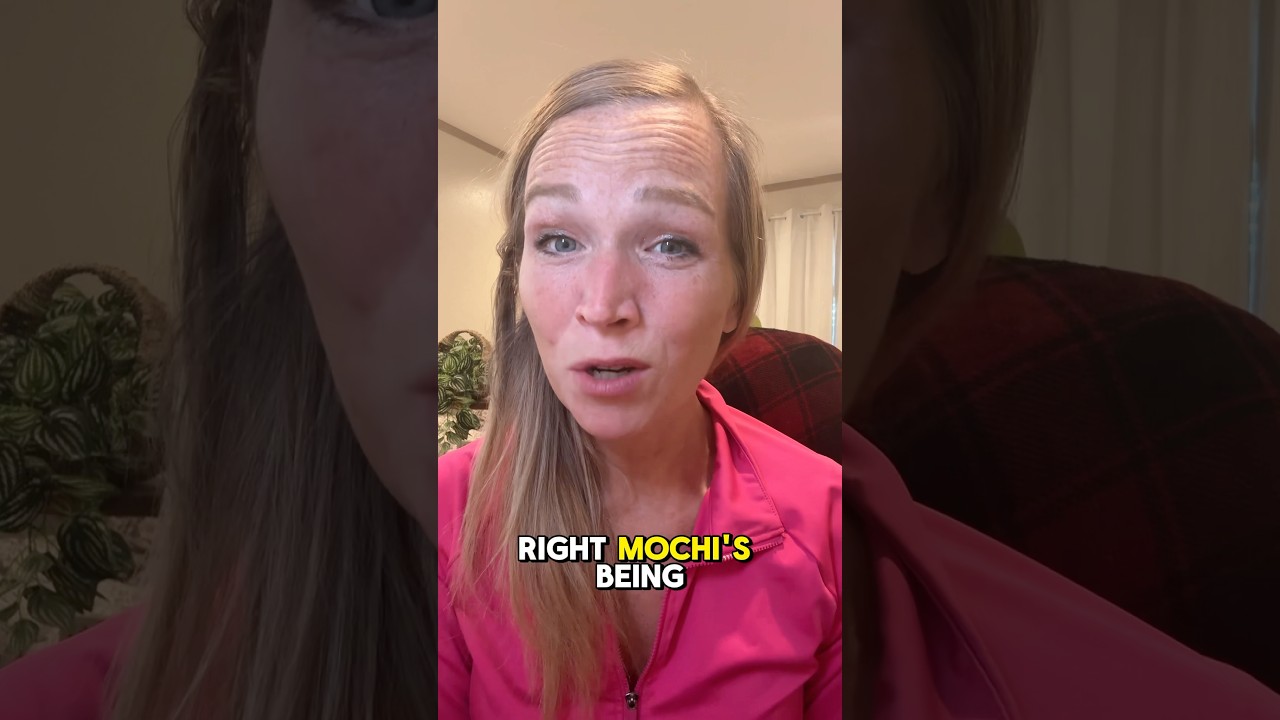 A company that fights for affordable, individualized, accessible care. Joinmochi.com 6xr0bb saves$40