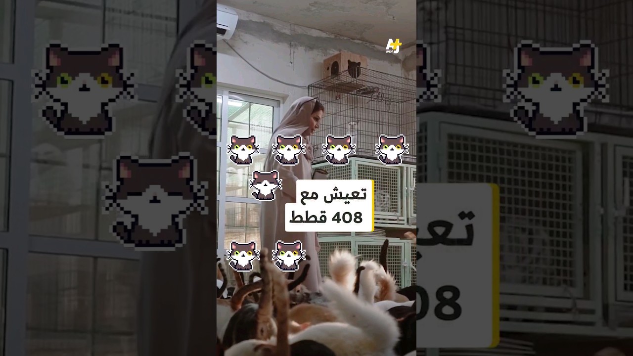 تعيش مع 408 قطط و11 كلباً #قصة_إنسان