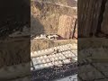 نشيد يا راحلين الى منى بقيادي بصوت ياسر الدوسري