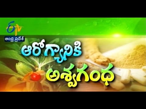 Sukhibhava - 27th January 2016 - సుఖీభవ – Full Episode