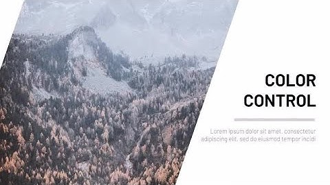 Clean Dynamic Slideshow Premiere Pro Templates