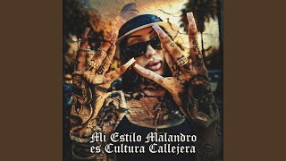 Mi Estilo Malandro es Cultura Callejera