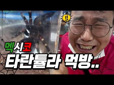 멕시코 탈란튤라 바퀴벌레 사자고기 혐오음식먹방