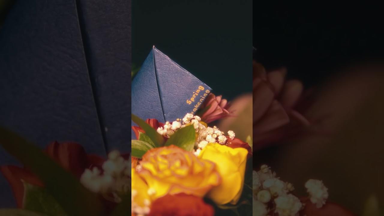 The ultimate VIP formal party | Seneca College