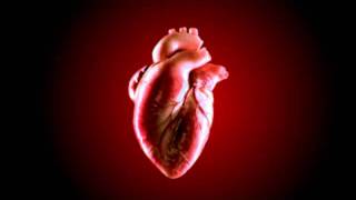 3d animated human heart screenshot 3