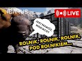 🚀ICARUS🚀: Od rolnika do kucharza | LIVE
