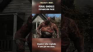 Fallout 4s Feral Ghouls FINALLY Have Diversity! 🧟