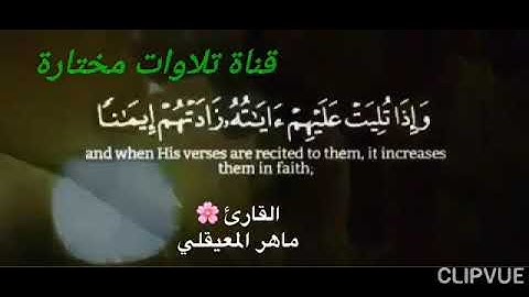 ماهر المعيقلي حالات واتساب، بداية سورة الأنفال(انما المؤمنون الذين اذا ذكر الله وجلت قلوبهم..)🌺👍🔔