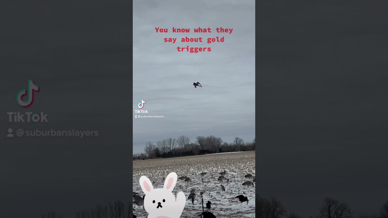 If the triggers gold….North Central IL.