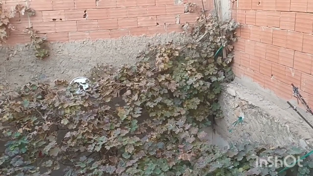 ليوم نضت لقيت كولشي مقلوب عاودت  نقيت من جديد وحطيتلكم قاع واش صرا