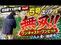 北田原マス釣り場 PART2 5号エリアでも無双!! ワンキャスト・ワンヒット連発 #エリアトラウト #北田原マス釣り場 #ネオスタイル