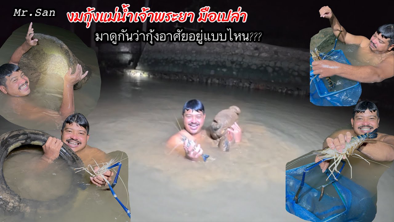 งมกุ้งแม่น้ำเจ้าพระยา ( มาดูว่ากุ้งอาศัยอยู่แบบไหน ) #มิสเตอร์สันฟิชชิ่ง  