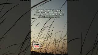 Hanya Nyanyian Dalam Sepi  Chris Vadham 