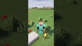 Why Does It Have to be This Complicated!  #minecraft #funny #fyp #memes #survival #gaming