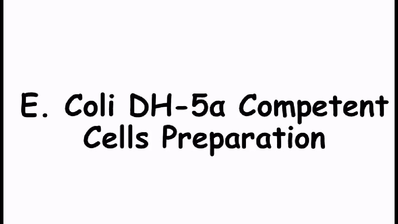 How to Prepare Chemically Competent E. coli Cells | Wet Lab Protocol