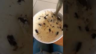 The ice cream brand trying to trick y’all #yummy #icecream #snacks 