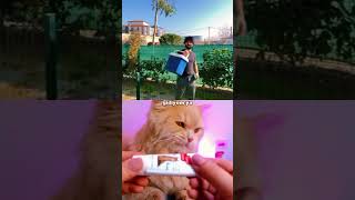 İzzet Abi̇ Sen Nasilsin Aykut Elmas Vi̇ne