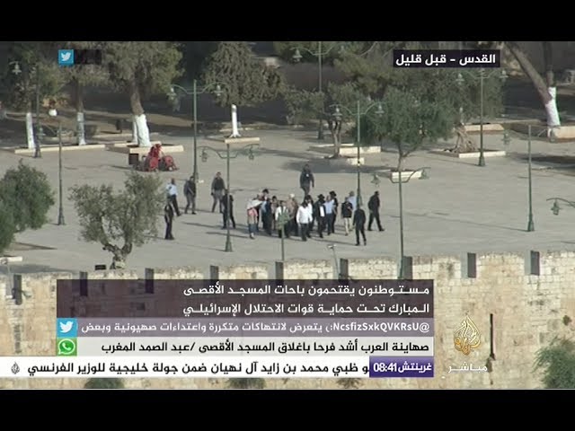 لحظة اقتحام المستوطين لباحات الأقصى تحت حماية قوات الاحتلال