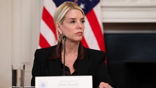 ‘Frightening’: ‘Sick’ leftie arrested over alleged $45,000 hit on Pam Bondi