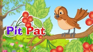 PIT PAT | Popular Kids Songs and Nursery Rhymes | Kidda TV For Children