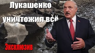 Лукашенко и сельское хозяйство Беларуси / Эксклюзив