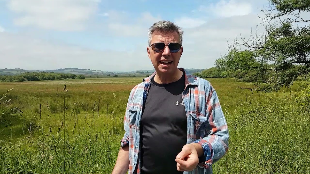 A walk through Cors Caron in mid-Wales  - a nature reserve and an important peat bog