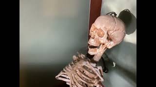 BOBBY BONES TRYS TO WATCH CARTOONS
