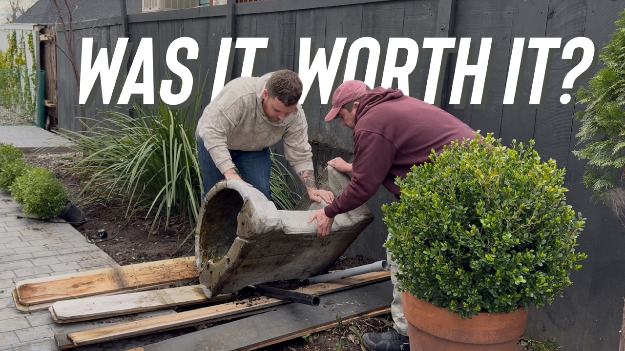Limbing Up the Arborvitae & Moving A 500 lb  Fountain