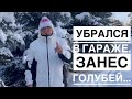 Убрался в гараже, занес голубей…