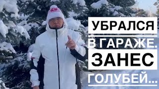 Убрался в гараже, занес голубей…