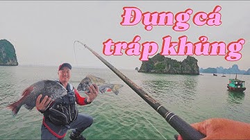 Câu iso ở Cẩm Phả - may mắn đến vào phút cuối